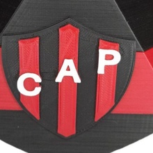 patronage coat arms board of trustees soccer shield afa 3d print model - Mito3D