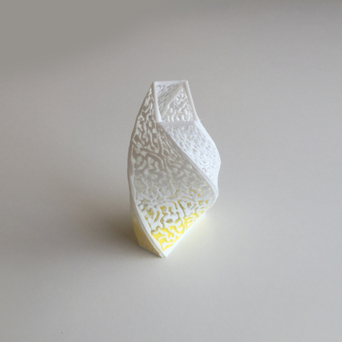 modèle de vase à double extrusion 2 couleur la maison 3D print model - Mito3D