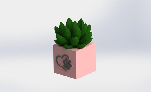 Pfote saftig Pflanzer Zuhause Haus Kaktus Pflanzen Garten Blume Vase Tier 3d print model - Mito3D