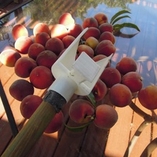 peach catcher tool hand tools 3d print model - Mito3D