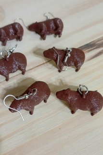peculiare orecchini pacco capibara ouija tavola pipistrello cerchi 3d print model - Mito3D