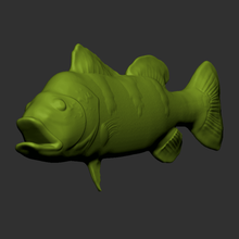 peixe tucunare - brasileiro a arte tucunar 3d animais marinho o rio de janeiro do mar 3d print model - Mito3D