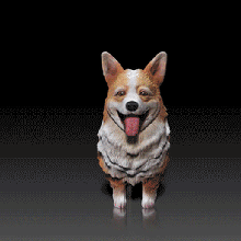 Pembroke Galce Corgi köpek doğurmak 3d Yazdır model hayvan Evcil Hayvan Doberman Pinscher 3d print model - Mito3D