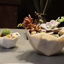 penta pot home flowerpot minimalist succulent 3d print model - Mito3D