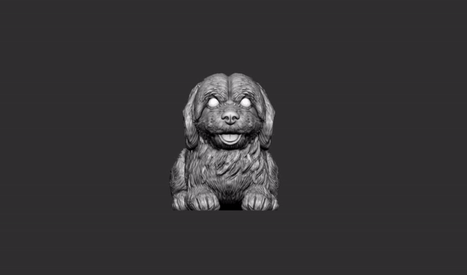 perro maltaca maltalı köpek raza 3d print model - Mito3D