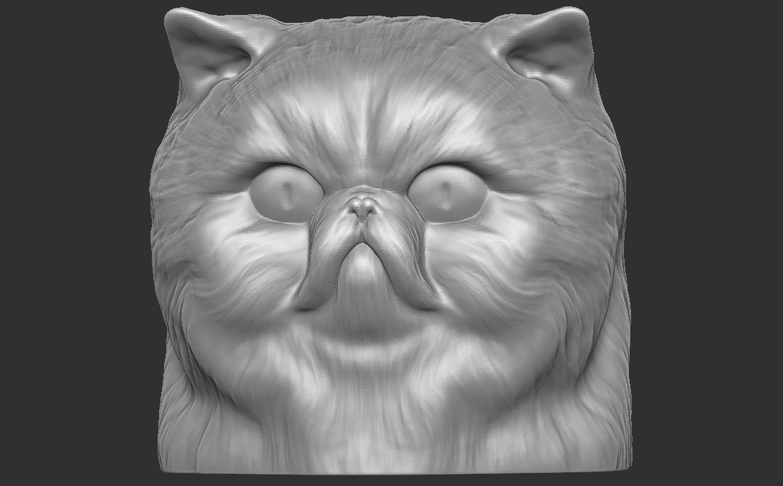 persiano gatto testa 3d stampa bengala maine coon bambola pezza russo blu cuneo siamese devon rex esotico capelli corti britannico animale cane domestico razza europeo 3D print model - Mito3D