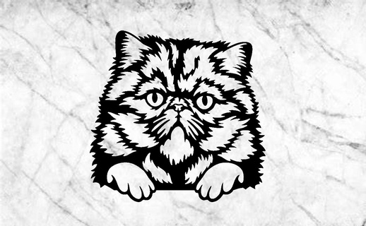persa gato pared decoración casa mascota deco hogar perro 3d print model - Mito3D