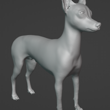 peruvian chinese dog v10 3d print model - Mito3D