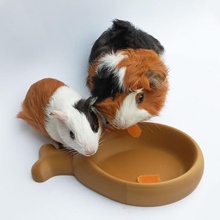 pet bowl drumstick various cat dog small animals food 3d print model - Mito3D