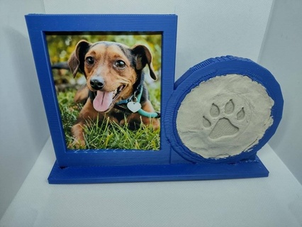 pet portrait holder footprint mold Gadget mascot picture frame fingerprints dog cat 3d print model - Mito3D