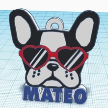 etiqueta do animal de estimação cachorro óculos vários inserir mascote cão boston terrier 3d print model - Mito3D