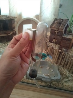 pet trixie water bottle holder hamster pets 3d print model - Mito3D