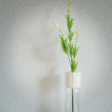 pet vase cap 03 slit home 3d print model - Mito3D