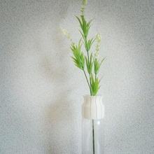 pet vaso cap 01 de fenda casa 3d print model - Mito3D