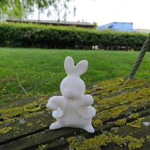peter coniglio gioco animali 3d print model - Mito3D