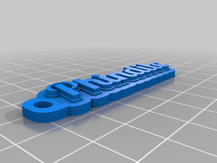 phindile keychain customized organization 3d print model - Mito3D
