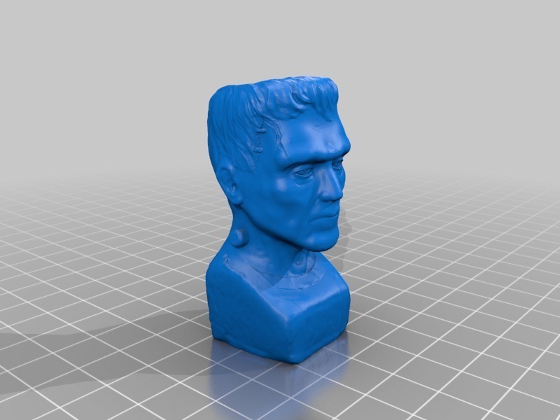 frenologia Franco sculture 3D print model - Mito3D