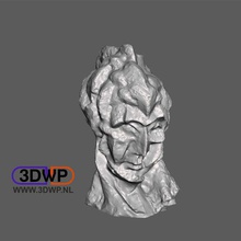 picasso - Kopf-Frau-Skulptur-3d-scan Kunst 123d 123dcatch catch 3d-scan meshmixer museum scan Skulptur statue durchsucht Replikate 3d print model - Mito3D