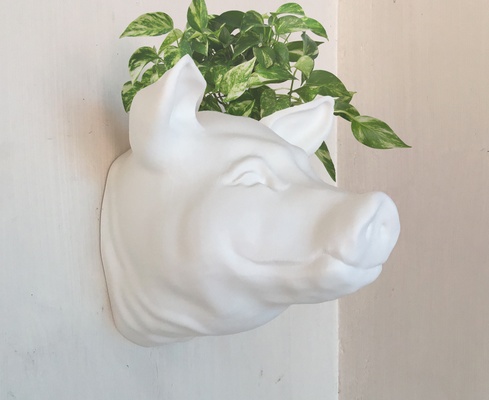 domuz baş ekici tencere çiçek vazo stl 3d yazdır dosya ev çiftlik kümes hayvanları evcil hayvanlar orman safari minyatür masaüstü hayvanlar heykel duvar dekor 3d print model - Mito3D