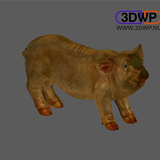 porco escultura de digitalização 3d a arte Digitalização em Scanner animais artec meshmixer scan estátua verifica réplicas 3D print model - Mito3D