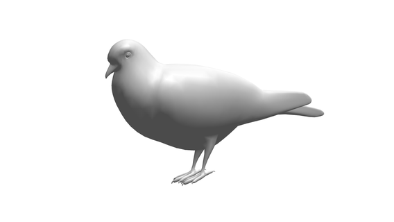pigeon 3d print model - Mito3D