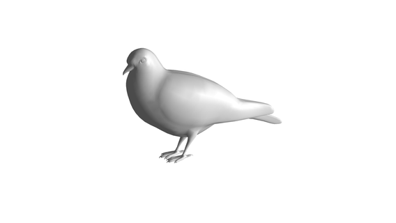 pigeon pigeon- animal - sea nature fish 3d print model - Mito3D