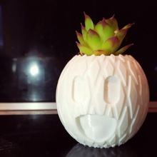 pineapple pot home cactus flower plants 3d print model - Mito3D