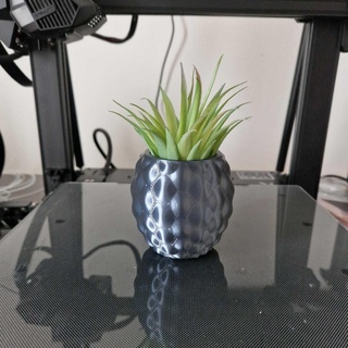 ananas succulent pot 3d print model - Mito3D