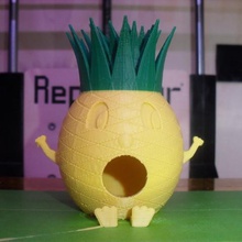 ananas-adam kuş evi ev birdhousechallenge makerbotornaments açık bahçe 3d print model - Mito3D
