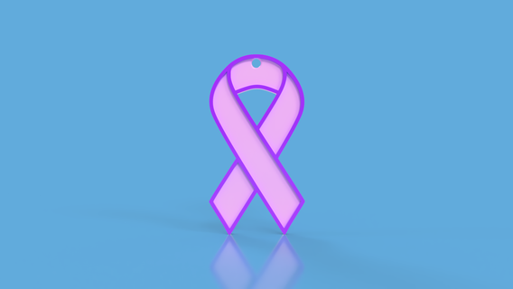 pink october key ring keychain octobrerose fightagainstcancer 3d print model - Mito3D