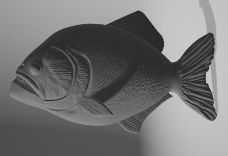 piranha peixe pescaria rio 3d print model - Mito3D