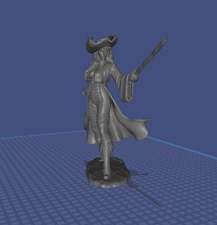 pirate collectionner 1 32 19 art 3d print model - Mito3D