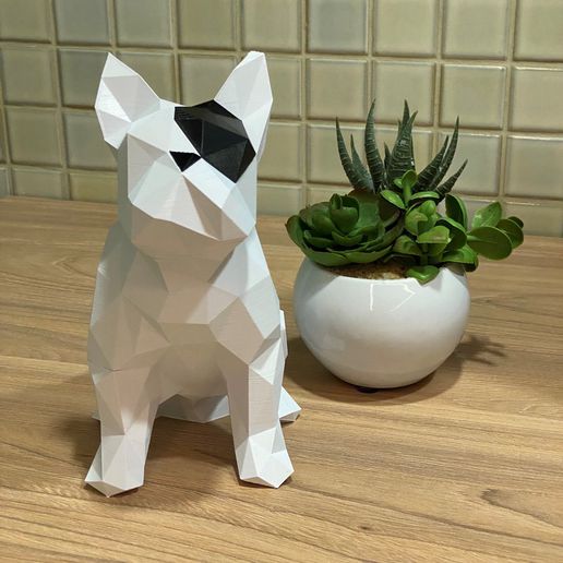 pirate french bulldog - frenchie franc bulldogs lowpoly poly decor 3D print model - Mito3D