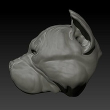boğa başı süsü paracord bilezik çukur takı luifer pitbull hayvan 3d print model - Mito3D