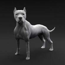pozo toro terrier Arte perro animal canino mascota miniatura figura escultura estatua miniaturas figuritas pitbull Stafford 3d print model - Mito3D