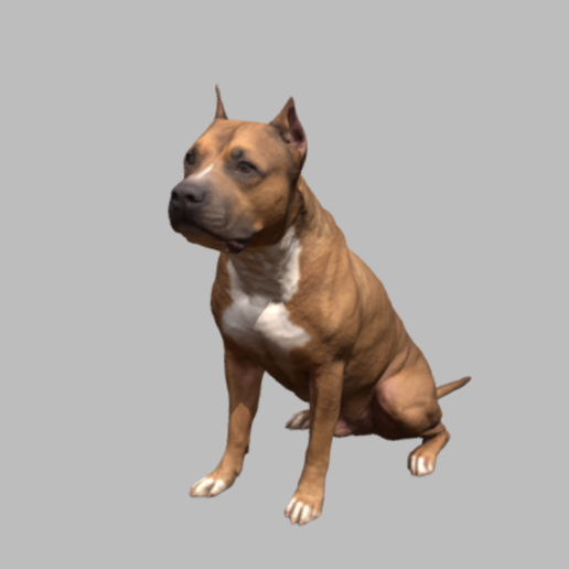 pitbull art terrier dog perro 3D print model - Mito3D