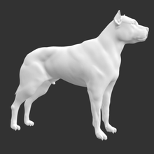 pitbull various dog 3d print model - Mito3D