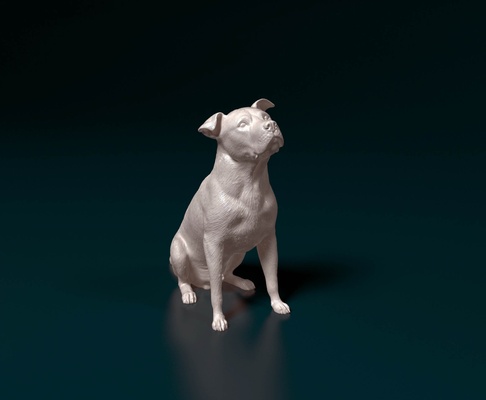 pitbull 06 casa cane stampa animali domestici terrier americano 3d print model - Mito3D