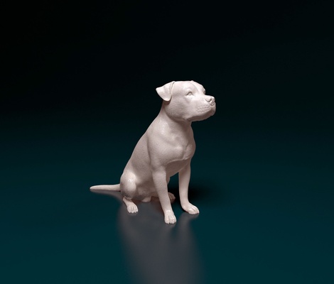 pitbull 07 casa cão impressão animais estimação americano terrier 3d print model - Mito3D