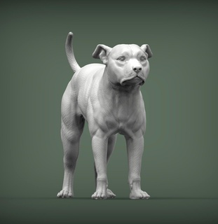 pitbull 3d impressão modelo cão natureza mamífero animal selvagem escultura estatueta lembrança presente esculpir arte esculturas 3d print model - Mito3D