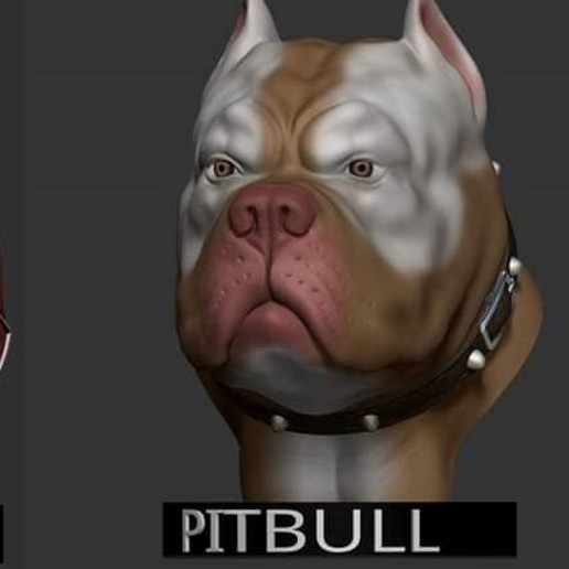pitbull buste art le chien 3D print model - Mito3D