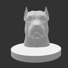pitbull busto vari cane 3d print model - Mito3D