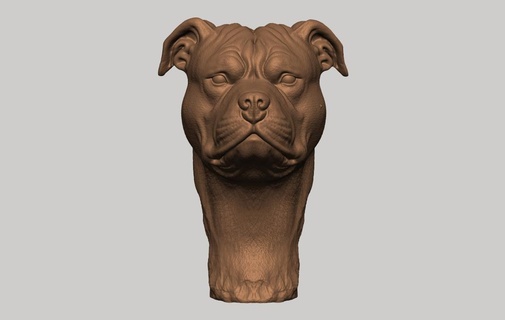 pitbull chien américain brute trophée exotique 3d print model - Mito3D