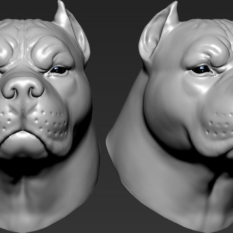 pitbull head art designs toy fish printing 3d sculpture animal 3D print model - Mito3D
