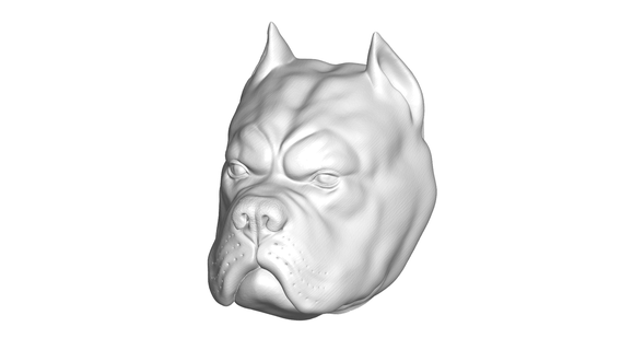 pitbull cabeza Arte escultura animal pared ar vr meta metverso 3d print model - Mito3D