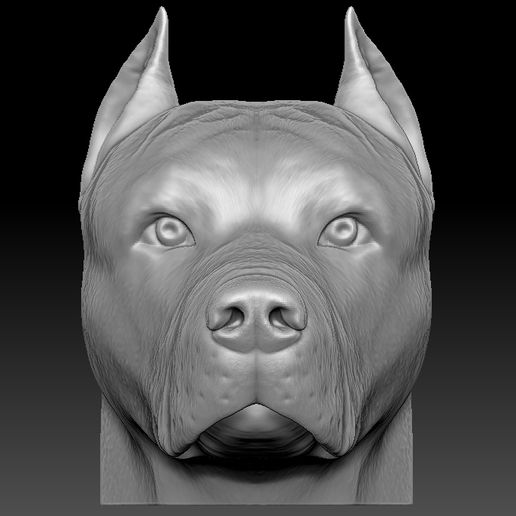 pitbull head 3d printing pit bull stafford terrier american amstaff dobermann husky bust great dane dog animal sculpture anatomy french bulldog rottweiler shih tzu labrador pug dachshund maltese 3D print model - Mito3D