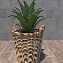 plant architecture vegetation 3d print model - Mito3D