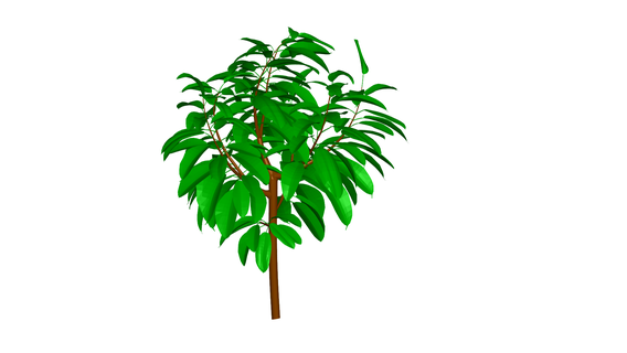 pianta fiore albero verde giardino 3d print model - Mito3D