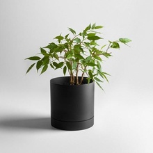pianta grande pentola classico minimo minimalista design 3d print model - Mito3D