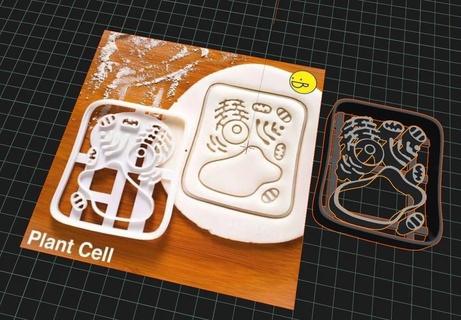 plant cell cookie cutter he-man grayskull retro cutting cookies 3d print model - Mito3D